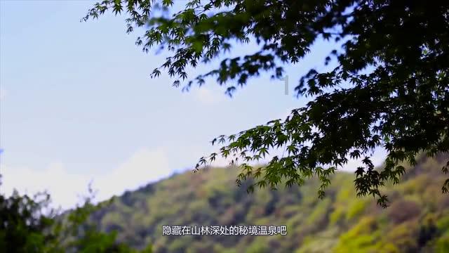 柳林:“星程暖冬”为900余名环卫工人送上“爱心早餐”