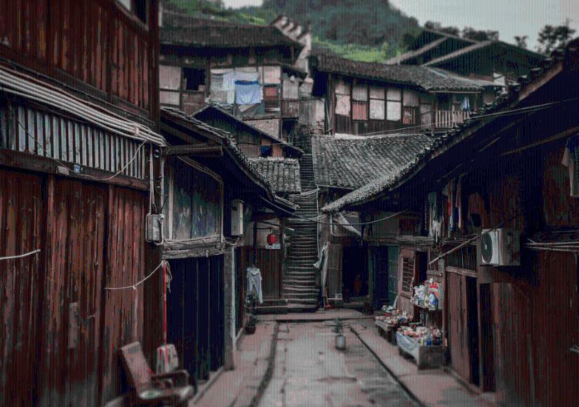 奔跑的兔子